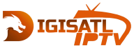 digisatl logo1